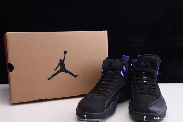 Rep LUCY Retro 12 CT8013 'Dark Jordan 005 Air Concord' 0722